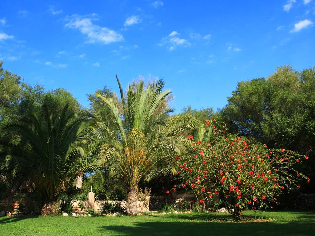 Finca Rural Predio Son Serra Séjour à la campagne *