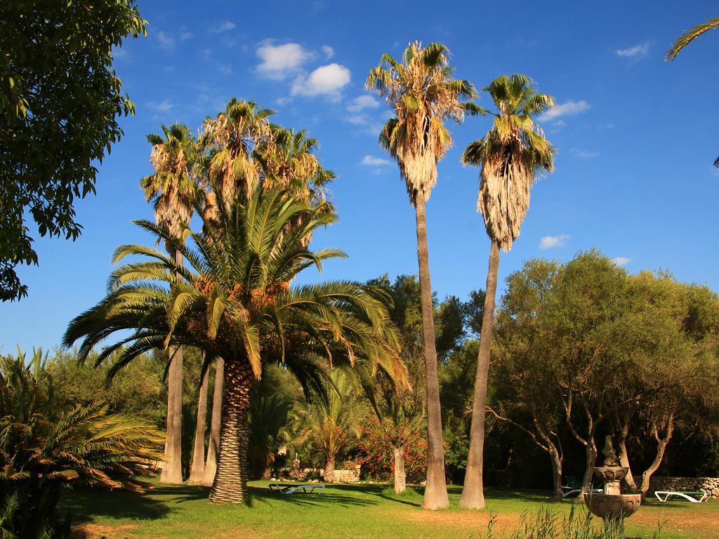 Finca Rural Predio Son Serra Séjour à la campagne Can Picafort (Mallorca)